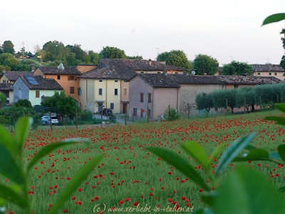 Blick aus dem Fenster im Gallo delle Pille