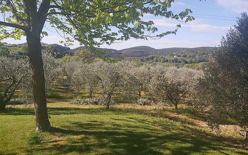 Garten von Tara