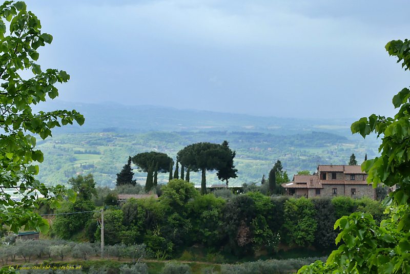 Blick ins Grüne Herz Italiens