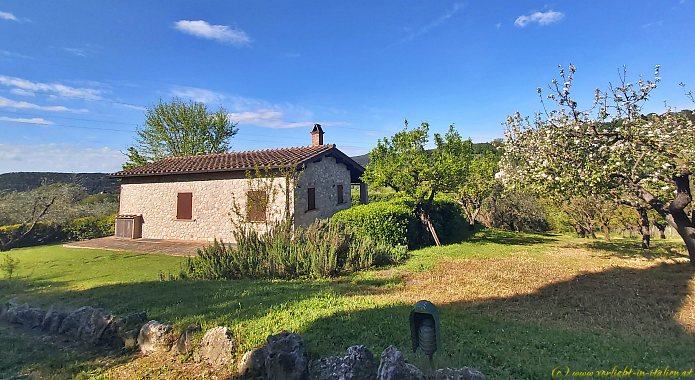 Tara Cottage