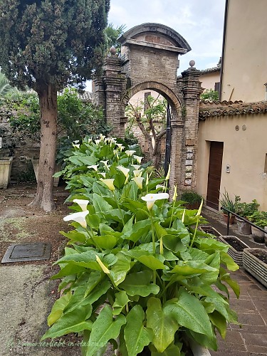 Santa Maria Maggiore Calla Spello