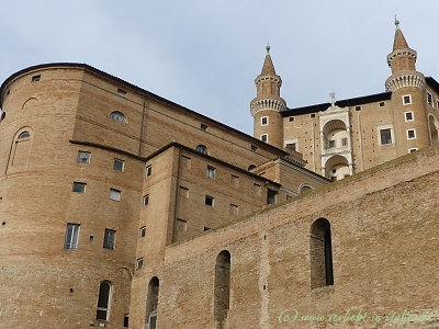 Urbino