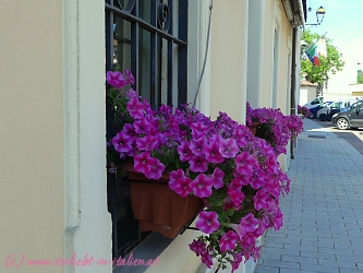 Blumen Ponti sul Mincio